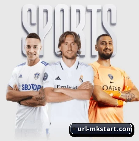 MK体育 APP | mksports