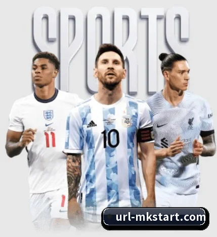 MK体育的方向（mksports）